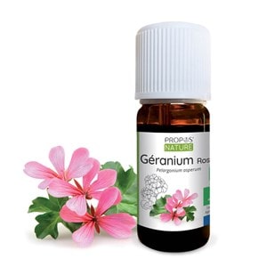 Géranium rosat bio - huile essentielle