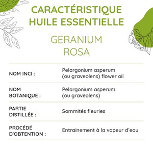 Géranium rosat bio - huile essentielle