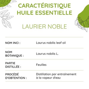 Laurier noble bio - huile essentielle