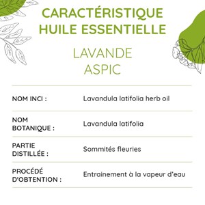 Lavande aspic bio - huile essentielle