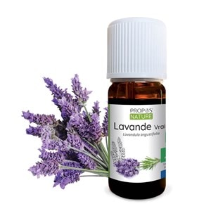 Lavande vraie bio - huile essentielle -