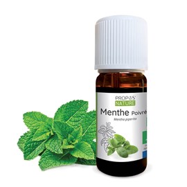 Menthe poivrée bio - huile essentielle