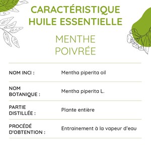 Menthe poivrée bio - huile essentielle