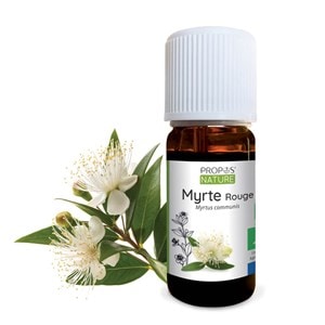 Myrte bio - huile essentielle