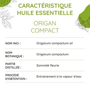 Origan compact bio - huile essentielle