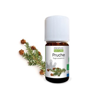 Pruche bio - huile essentielle contenanc