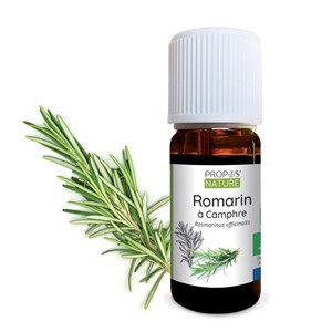 Romarin à camphre bio - huile essentiell