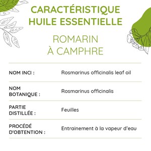 Romarin à camphre bio - huile essentiel