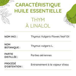 Thym à linalol bio - huile essentielle
