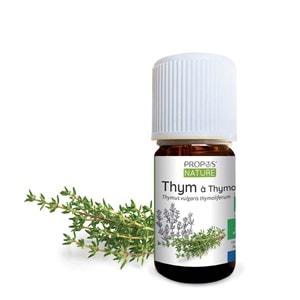 Thym à thymol bio - huile essentielle