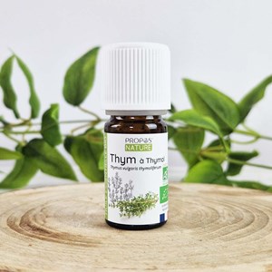 Thym à thymol bio - huile essentielle