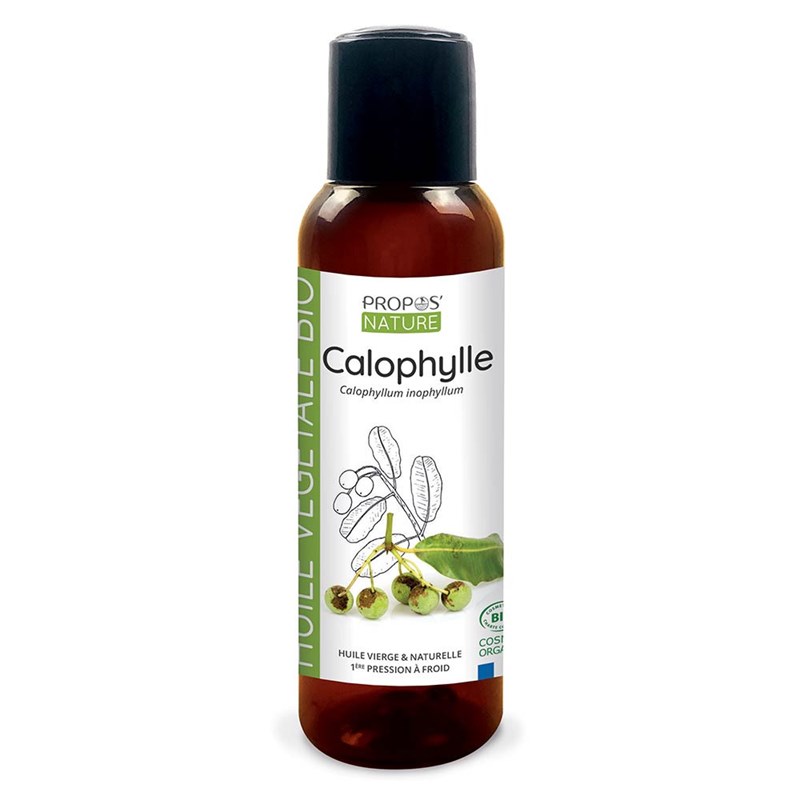 Calophylle (tamanu) bio - huile végétale