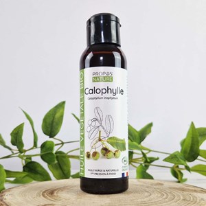Calophylle (tamanu) bio - huile végéta