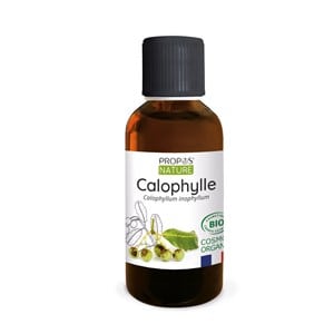 Huile végétale de calophylle (tamanu)