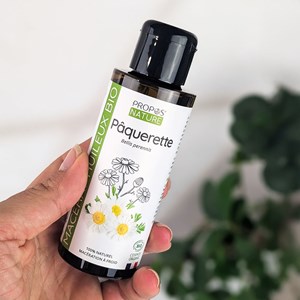 Pâquerette (bellis) bio - macérât hui