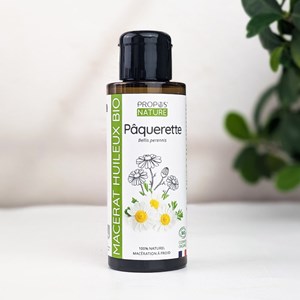 Pâquerette (bellis) bio - macérât hui