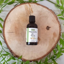 Macérât huileux de pâquerette (bellis