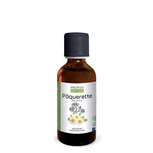 Macérât huileux de pâquerette (bellis