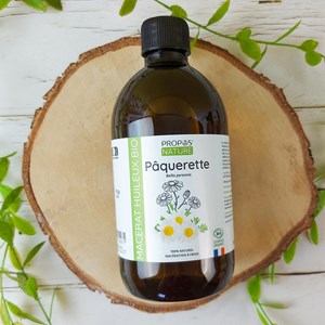Pâquerette (bellis) bio - macérât hui