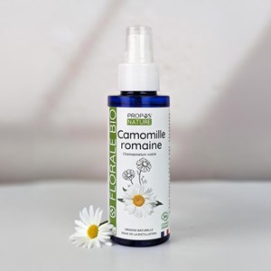 Camomille romaine - hydrolat