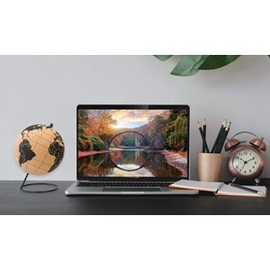 Tripvea - globe en liège 20 cm