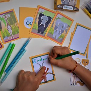 Jeu de cartes a créer animaux de savane