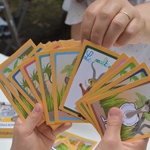 Jeu de cartes a créer animaux de savane