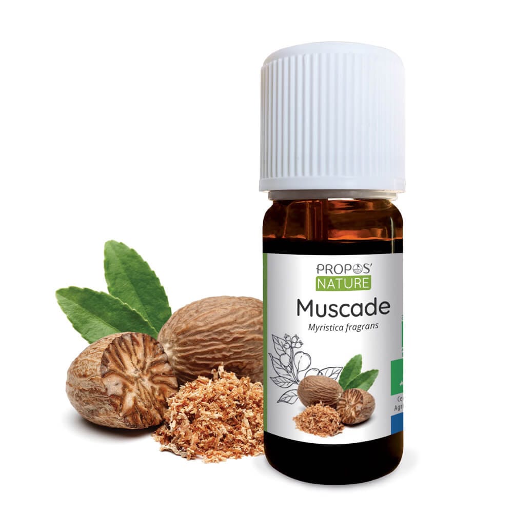 Muscadier (Myristica fragrans), des noix de muscade digestives