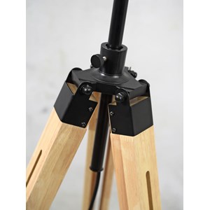 Lampadaire darwin