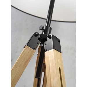 Lampadaire darwin