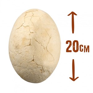 Mega dino egg