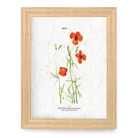 Affiche à planter a4 - girouette