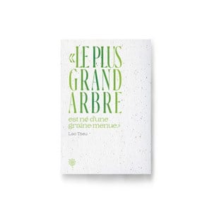 Carte à planter - lao et le grand arbre