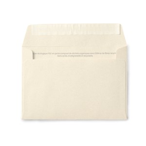 Carte à planter - papillons et chenilles