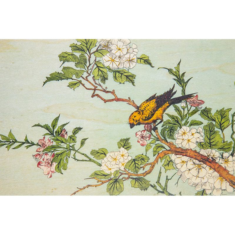 Carte Postale Bois En Fleurs Nature Decouvertes