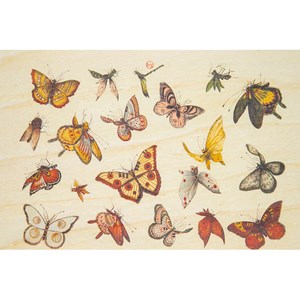 Carte postale bois papillons