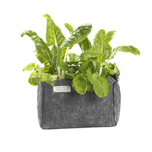 Carré potager - 75l