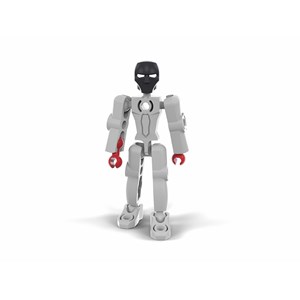 Jeu de construction figz wolf