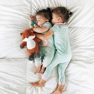 Peluche musicale frankie le renard