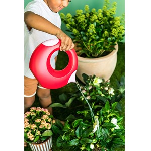 Grand arrosoir cana - rouge cerise