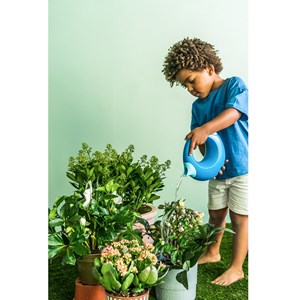 Grand arrosoir cana - océan