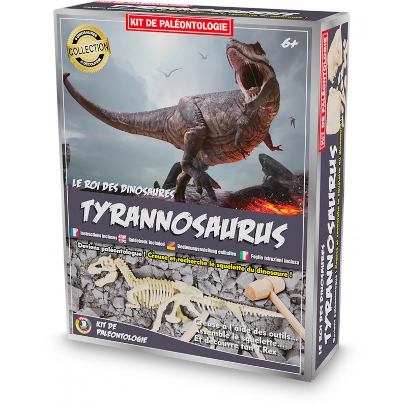 Kit paleo - tyrannosaure