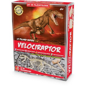 Kit paleo - vélociraptor
