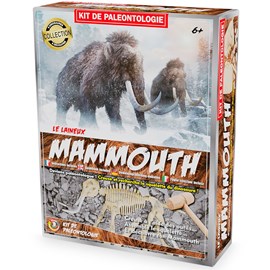 Kit paleo - mammouth