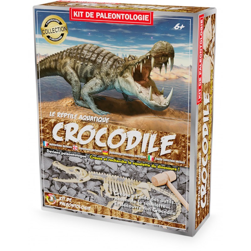 Kit paleo - crocodile