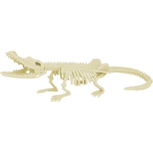 Kit paleo - crocodile