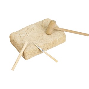 Kit paleo - triceratops