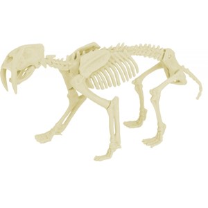 Kit paleo - smilodon