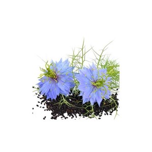Nigelle bio - 1l
