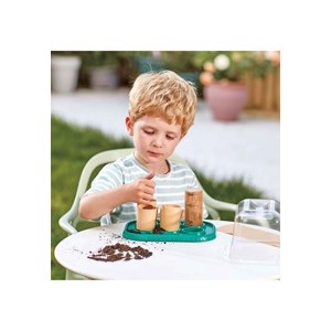 Serre pour apprentis jardiniers